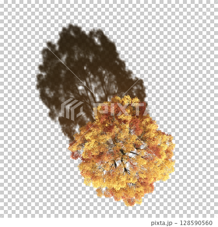 tree with a shadow under it, top view, isolate on a transparent background, 3d illustration 128590560