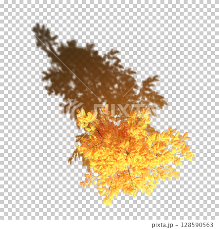 tree with a shadow under it, top view, isolate on a transparent background, 3d illustration tree with a shadow under it, top view, isolate on a transparent background, 3d illustration 128590563