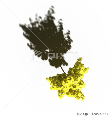 tree with a shadow under it, top view, isolate on a transparent background, 3d illustration 128590565