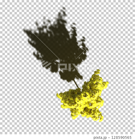 tree with a shadow under it, top view, isolate on a transparent background, 3d illustration 128590565