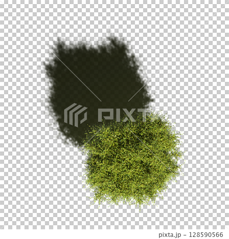 tree with a shadow under it, top view, isolate on a transparent background, 3d illustration tree with a shadow under it, top view, isolate on a transparent background, 3d illustration 128590566