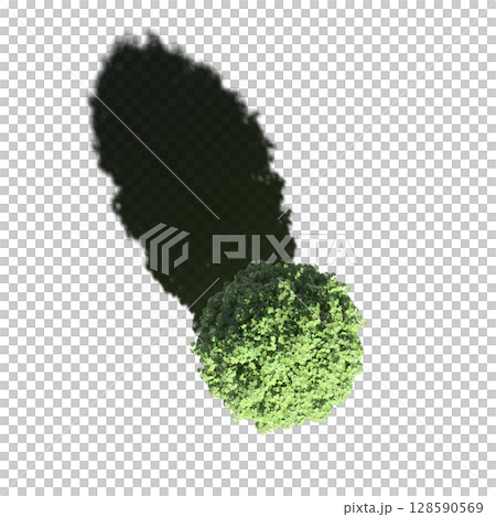 tree with a shadow under it, top view, isolate on a transparent background, 3d illustration 128590569