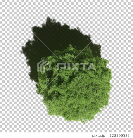 tree with a shadow under it, top view, isolate on a transparent background, 3d illustration 128590582