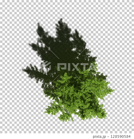 tree with a shadow under it, top view, isolate on a transparent background, 3d illustration 128590584