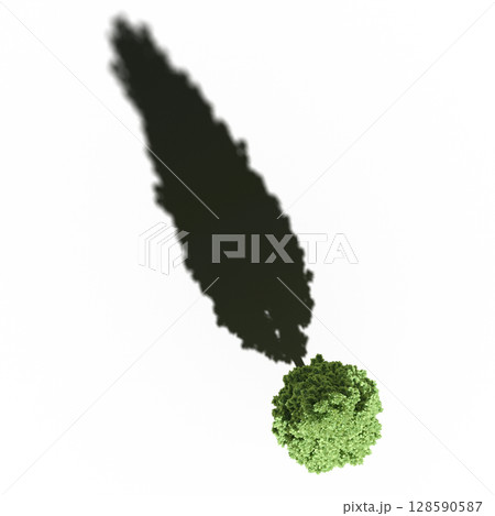 tree with a shadow under it, top view, isolate on a transparent background, 3d illustration tree with a shadow under it, top view, isolate on a transparent background, 3d illustration 128590587