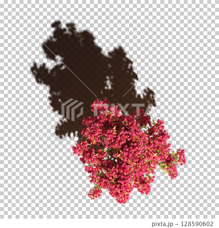 tree with a shadow under it, top view, isolate on a transparent background, 3d illustration 128590602