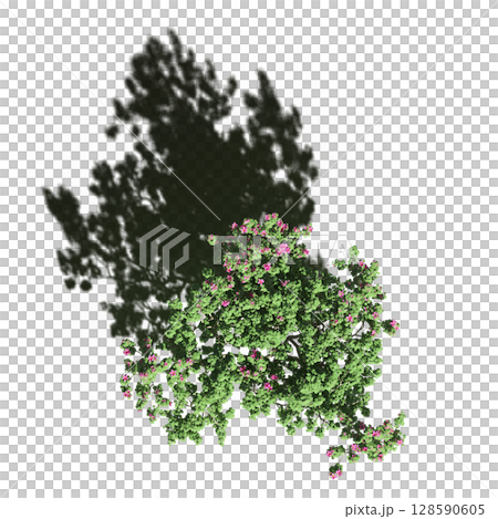 tree with a shadow under it, top view, isolate on a transparent background, 3d illustration 128590605