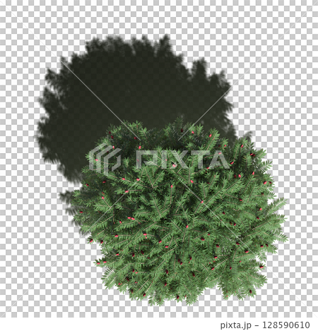 tree with a shadow under it, top view, isolate on a transparent background, 3d illustration 128590610