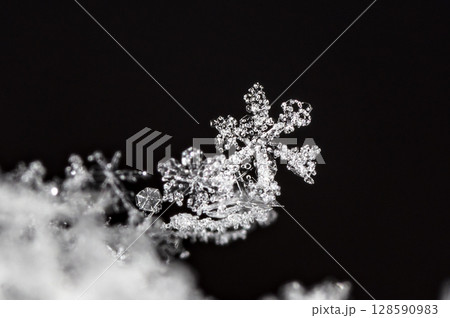 snowflake, little snowflake on the snow 128590983