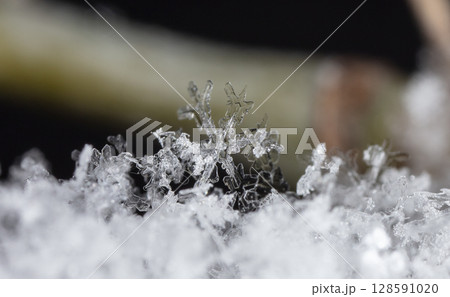 snowflake, little snowflake on the snow snowflake, little snowflake on the snow 128591020