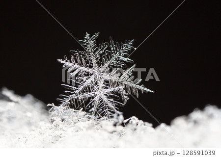 snowflake, little snowflake on the snow 128591039