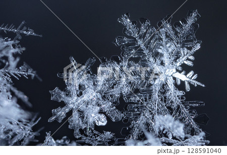 snowflake, little snowflake on the snow snowflake, little snowflake on the snow 128591040