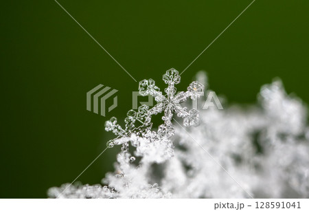 snowflake, little snowflake on the snow snowflake, little snowflake on the snow 128591041