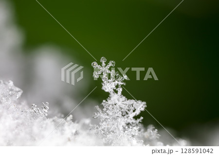 snowflake, little snowflake on the snow 128591042