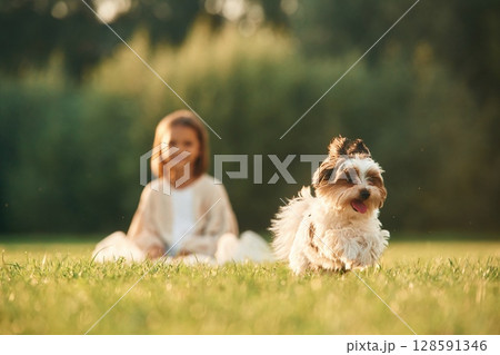 Cute little girl is on the field with dog Cute little girl is on the field with dog 128591346