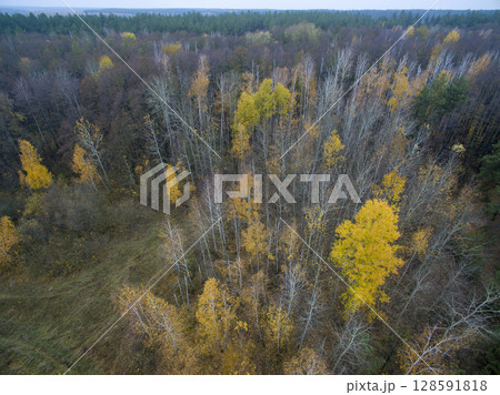 country road, view from above, aerial view country road, view from above, aerial view 128591818