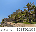 Peniscola Castle with Palm Trees 128592108