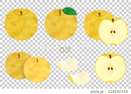 梨插圖素材集 128592334