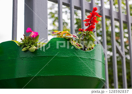 A vibrant green planter filled with beautiful flowers is hanging on a fence 128592837
