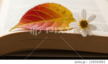 Symbolic School Start - Autumn Leaf on Textbook Symbolic School Start - Autumn Leaf on Textbook 128593061