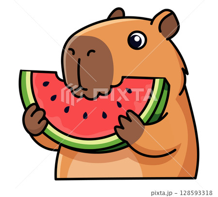 Cute capybara character happily eating a big slice of watermelon. Funny summer food concept. Adorable vector illustration for a picnic party, foodie blog, or children's menu. Isolated on white Cute capybara character happily eating a big slice of watermelon. Funny summer food concept. Adorable vector illustration for a picnic party, foodie blog, or children's menu. Isolated on white 128593318