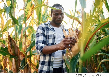 Young black man is standing in the cornfield at daytime 128593390