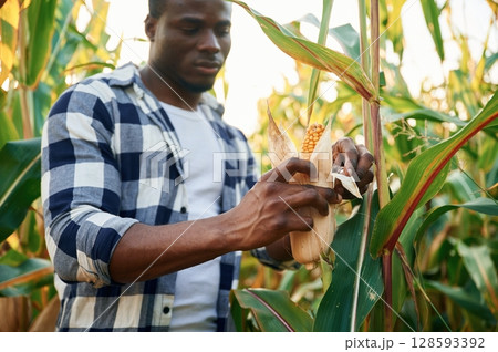 Quality product. Young black man is standing in the cornfield at daytime 128593392