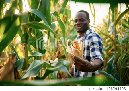 Quality product. Young black man is standing in the cornfield at daytime 128593398