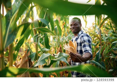 Quality product. Young black man is standing in the cornfield at daytime 128593399