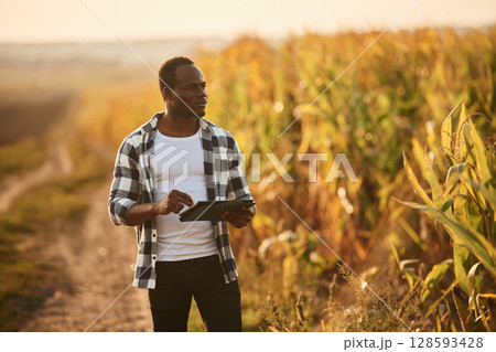 Holding digital tablet. Beautiful African American man is in the agricultural field Holding digital tablet. Beautiful African American man is in the agricultural field 128593428