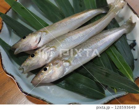 新鮮なシロギス 128593649