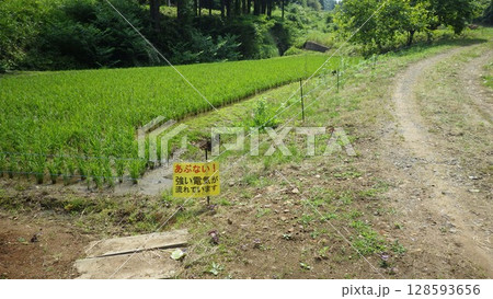 水田に設置した害獣被害対策用の電気柵 128593656