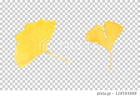 落ち葉 イラスト 水彩 イチョウ 128593889