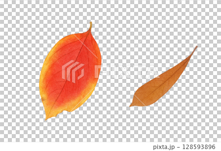 落ち葉 イラスト 水彩 枯れ葉	 128593896