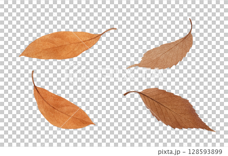 落ち葉 イラスト 水彩 枯れ葉	 128593899