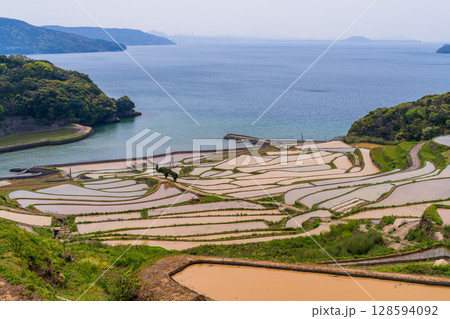 《長崎県》土谷棚田・日本の原風景 《長崎県》土谷棚田・日本の原風景 128594092