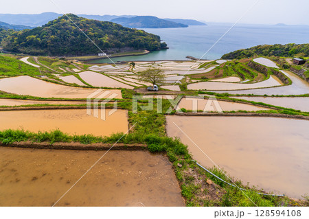 《長崎県》土谷棚田・日本の原風景 《長崎県》土谷棚田・日本の原風景 128594108