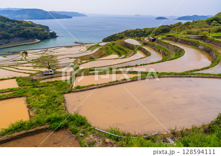 《長崎県》土谷棚田・日本の原風景 《長崎県》土谷棚田・日本の原風景 128594111