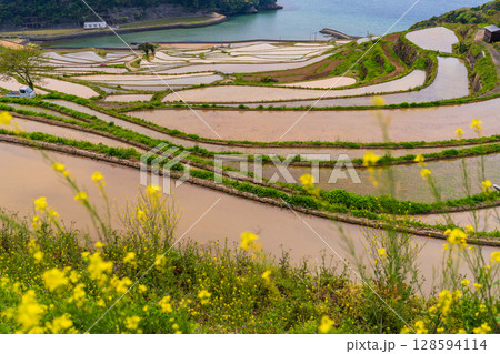 《長崎県》土谷棚田・日本の原風景 《長崎県》土谷棚田・日本の原風景 128594114