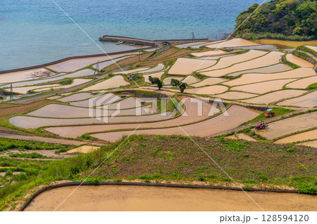 《長崎県》土谷棚田・日本の原風景 128594120