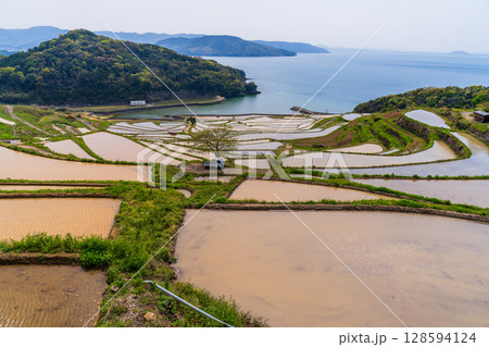 《長崎県》土谷棚田・日本の原風景 128594124