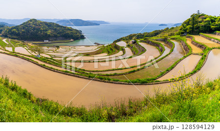 《長崎県》土谷棚田・日本の原風景 《長崎県》土谷棚田・日本の原風景 128594129
