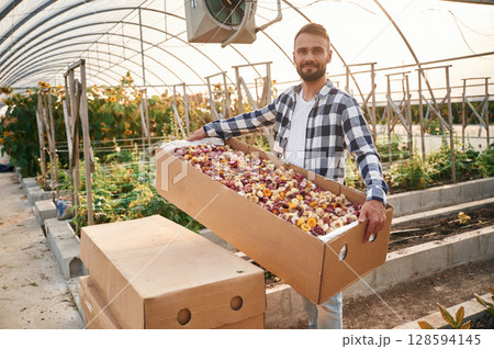Transporting dried flowers that are in the wooden box. Young gardener is in the greenhouse Transporting dried flowers that are in the wooden box. Young gardener is in the greenhouse 128594145