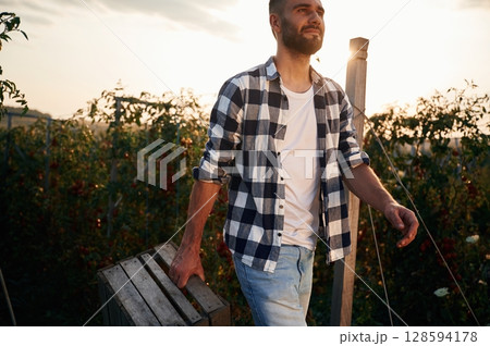 Holding wooden box. Bunch of tomatoes. Beautiful young man is in the garden Holding wooden box. Bunch of tomatoes. Beautiful young man is in the garden 128594178