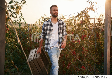 Holding wooden box. Bunch of tomatoes. Beautiful young man is in the garden Holding wooden box. Bunch of tomatoes. Beautiful young man is in the garden 128594179