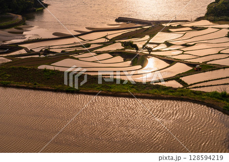 《長崎県》夕暮れの土谷棚田・日本の原風景 128594219