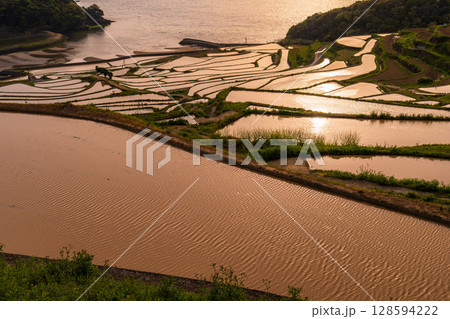 《長崎県》夕暮れの土谷棚田・日本の原風景 128594222