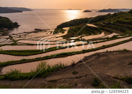 《長崎県》夕暮れの土谷棚田・日本の原風景 128594225