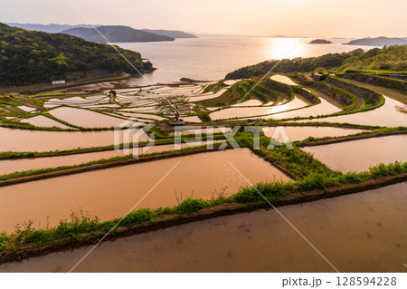 《長崎県》夕暮れの土谷棚田・日本の原風景 128594228