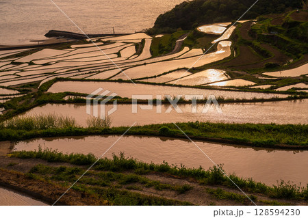 《長崎県》夕暮れの土谷棚田・日本の原風景 128594230